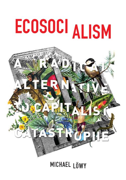 Michael Lowy’s Ecosocialism: A Radical Alternative to Capitalist Catastrophe