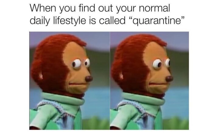 people in quarantine meme