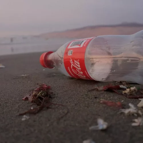 Turns Out, Egypt’s COP27 Sponsor Is The World’s Worst Plastic Polluter