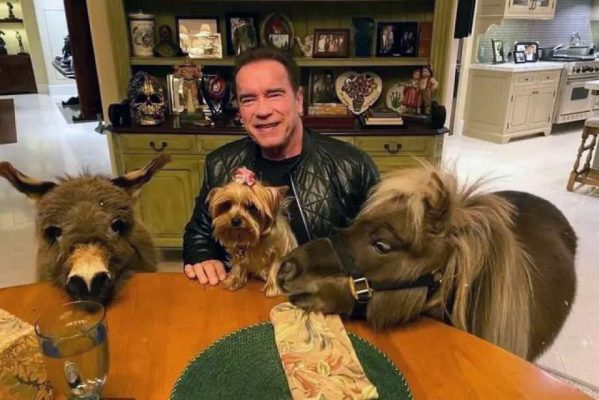 Arnold Schwarzenegger with his donkey pony, and dog