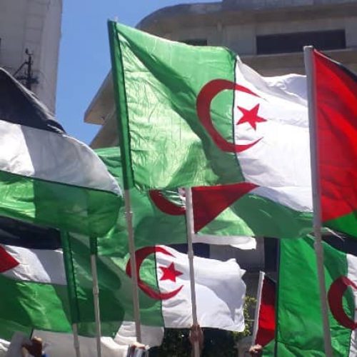 palestine-algerie-1
